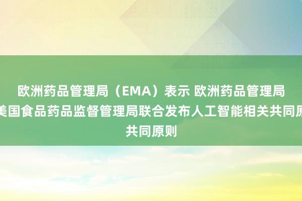 歐洲藥品管理局（EMA）表示 歐洲藥品管理局與美國食品藥品監(jiān)督管理局聯(lián)合發(fā)布人工智能相關共同原則