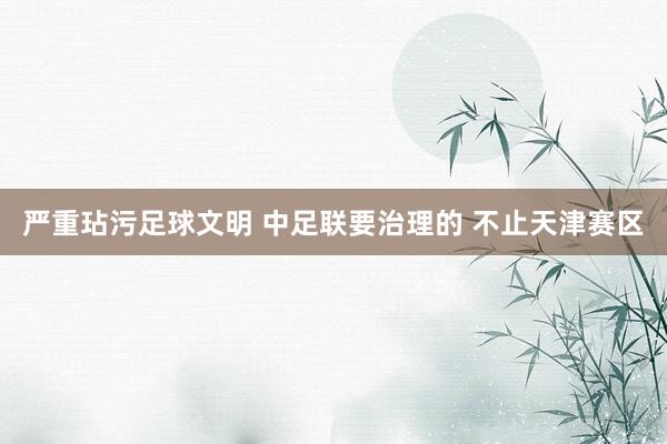 嚴重玷污足球文明 中足聯要治理的 不止天津賽區