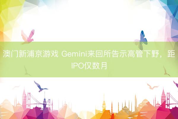 澳門新浦京游戲 Gemini來回所告示高管下野，距IPO僅數(shù)月
