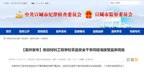 安徽一學校食品安全干事被查